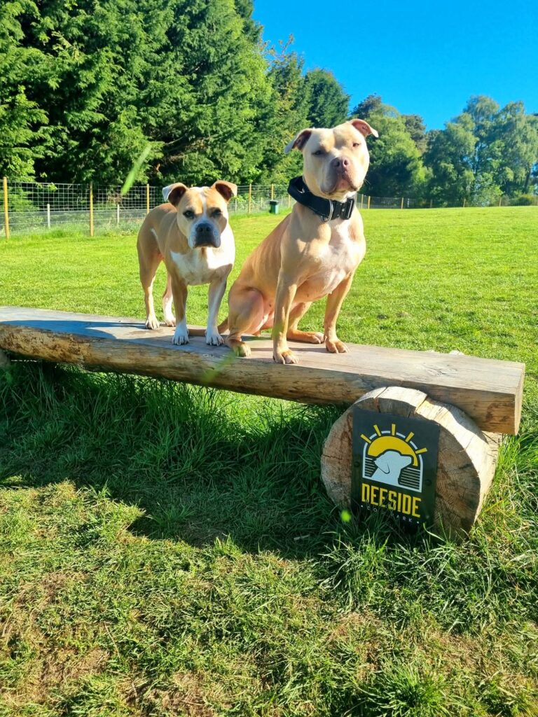 inbound1481766176285199668 768x1024