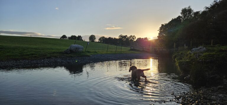 inbound17991912851565323 768x355