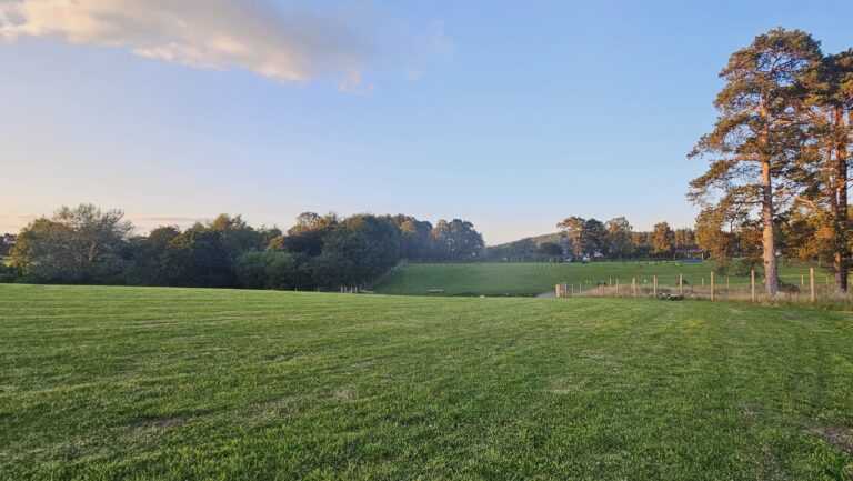 inbound223951952341718272 768x433