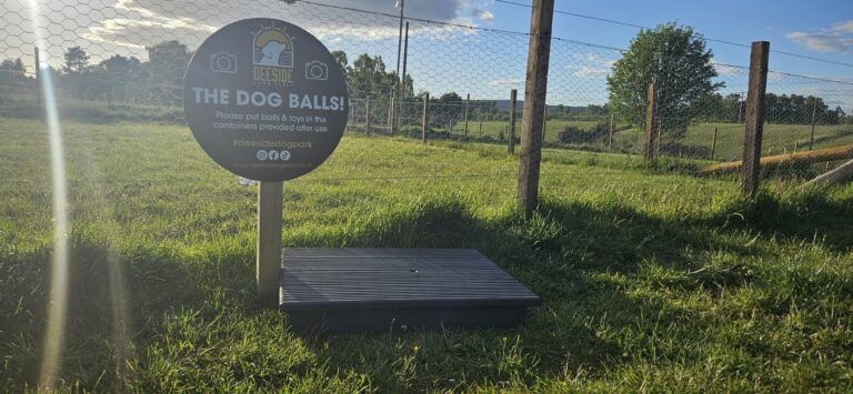 inbound2651604775981867115 768x355