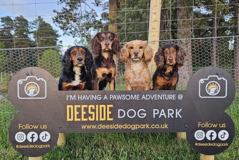 inbound3047462898354834228 768x515