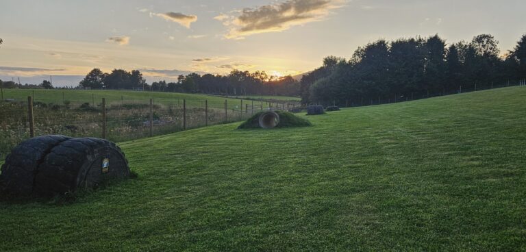 inbound4290472308165313850 768x368