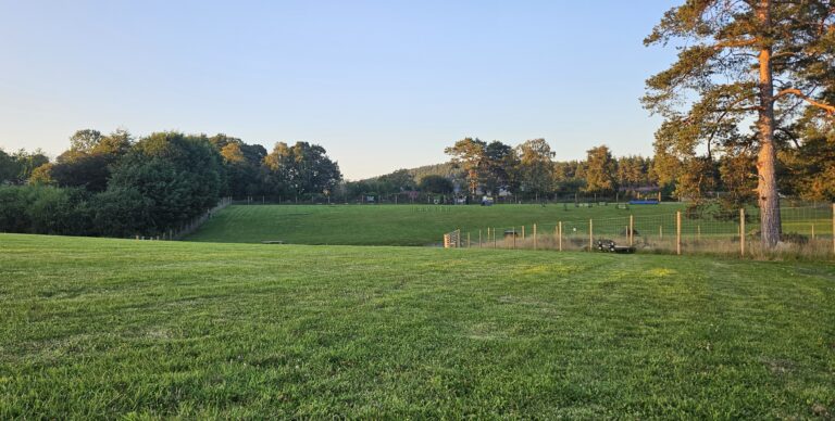 inbound5322326794334470805 768x388