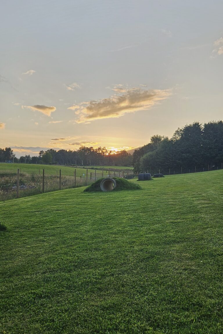 inbound6011480912637834649 768x1152