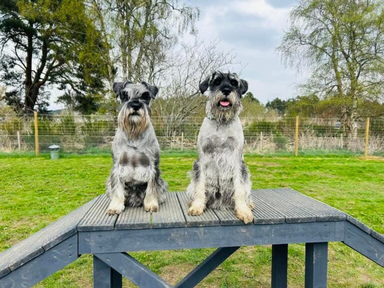 inbound8735765627351790097 768x576