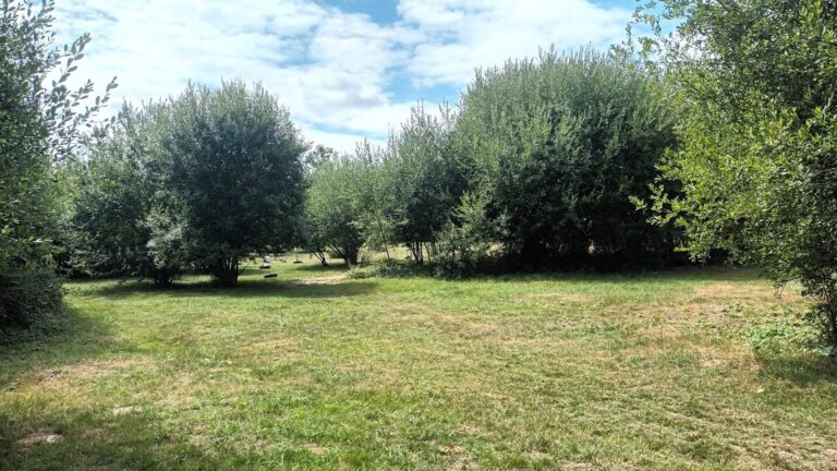 0398e186 dc84 4a72 81eb 3d626451f8c3 768x432