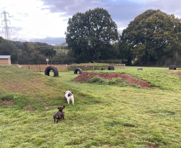 1B176EC0 8059 4922 8AE5 41DA7D610330 Jo 768x628