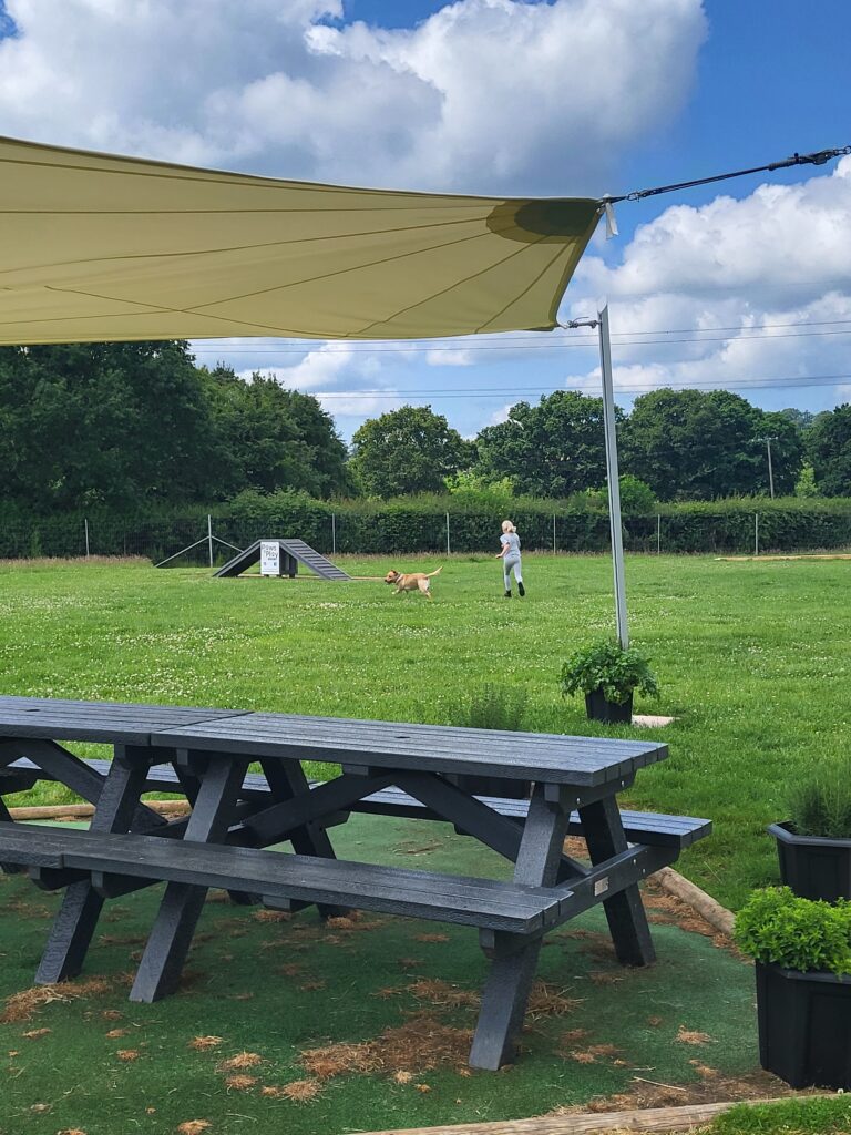 20250615 120608 Jenny 768x1024