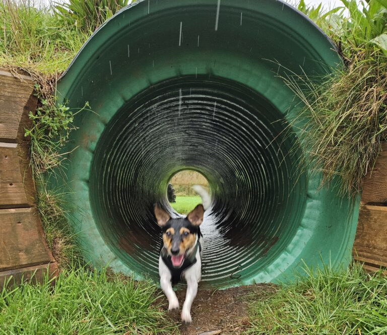 20251003 120857 Sarah Webber Bracken 768x664