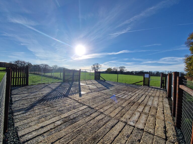 20251121 124903 768x576