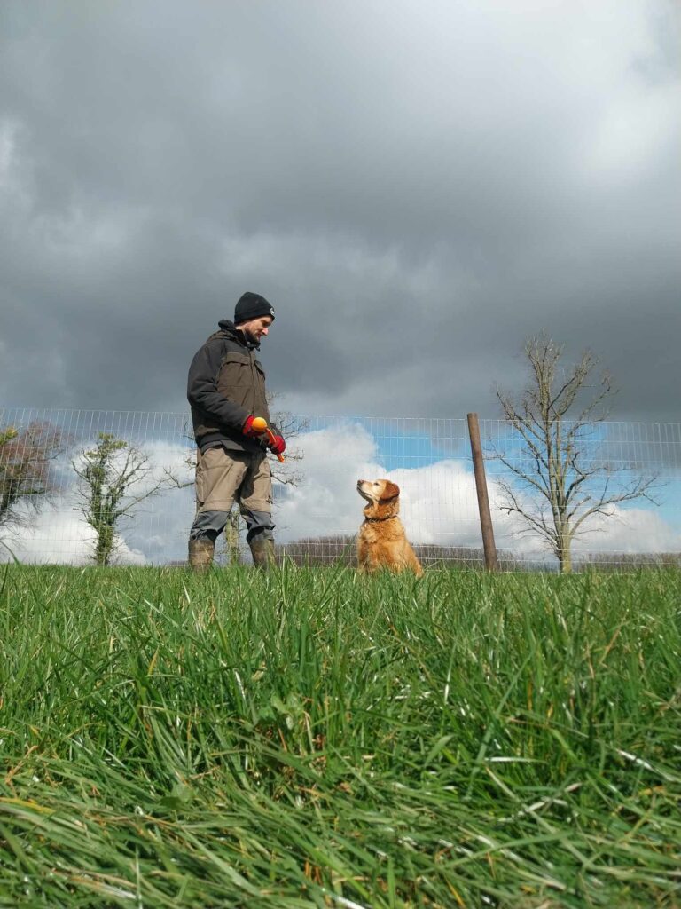 493861437 1571297653718043 1412282837388349954 n 768x1024