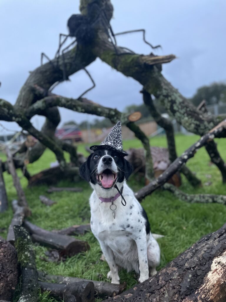 D8D551A9 F0A3 434B AA71 0C79727500FA Meg Drinkall 768x1024