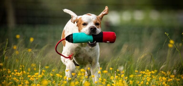 DF Member Photo May2024 2 768x361