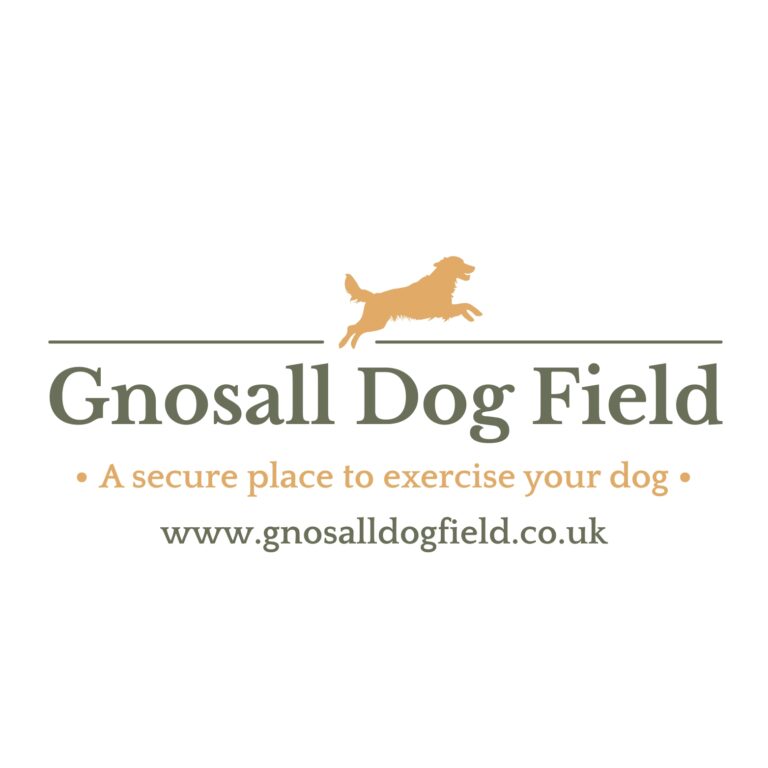 GDF FullLogo 768x768