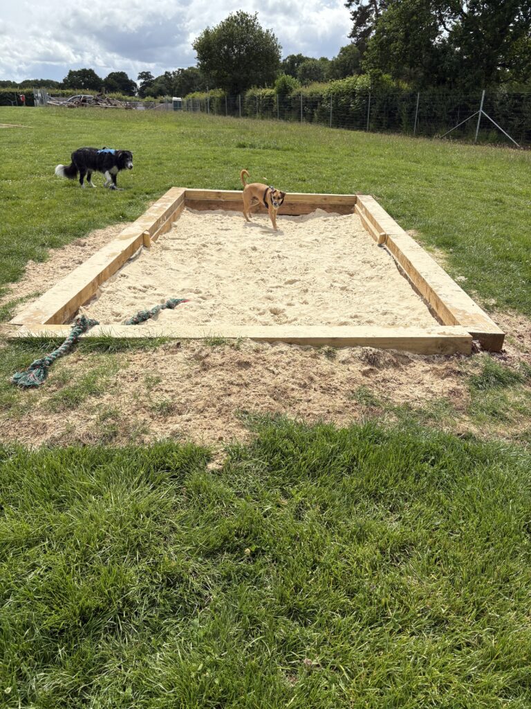 IMG 1001 Justine fehler 768x1024