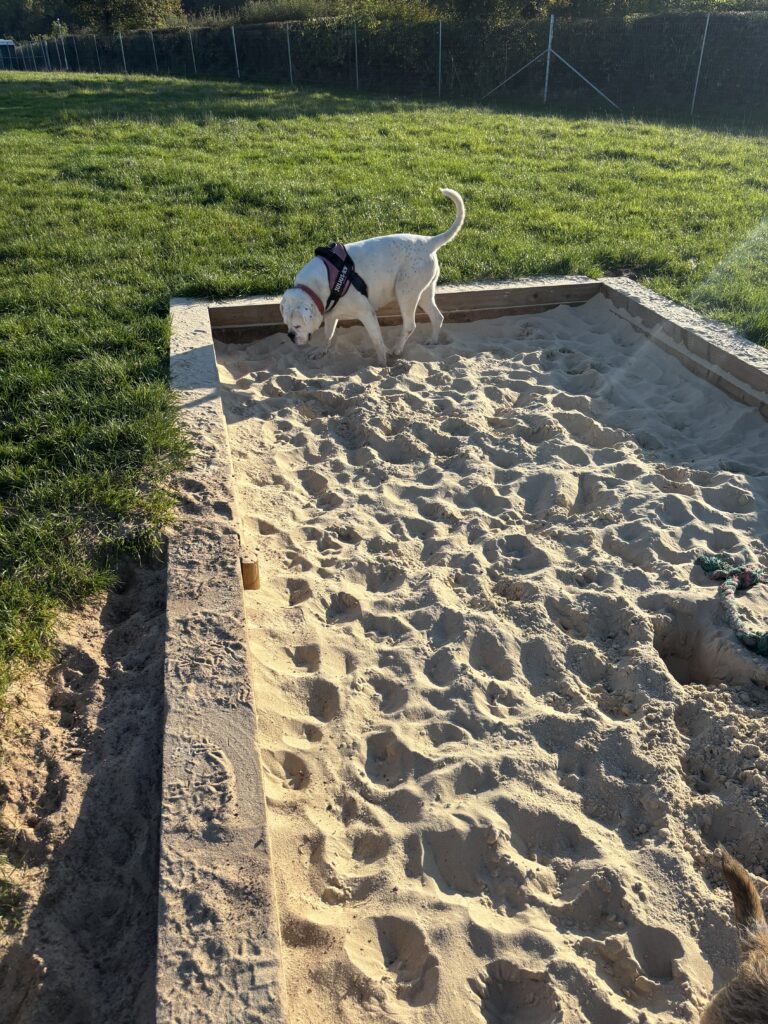 IMG 1581 Mandy gibbings 768x1024