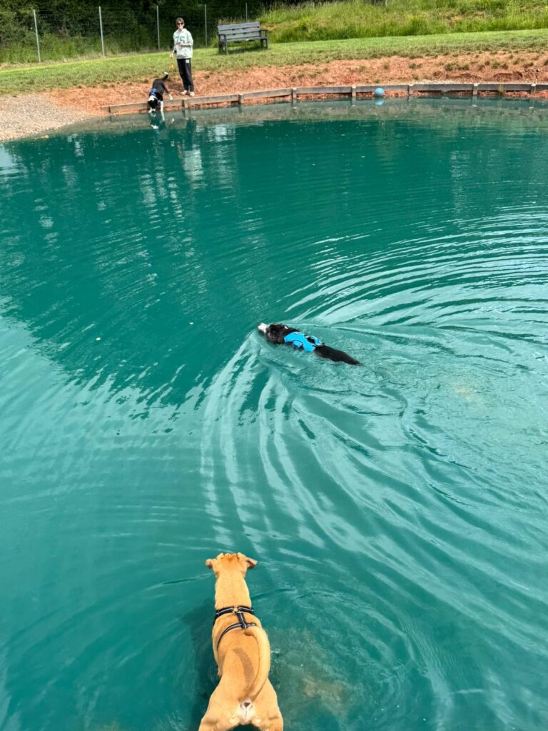 d5094797 f5fb 4e6c 9992 4ddcd4bba87c Justine fehler 768x1024