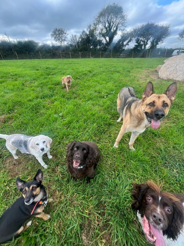 45ee5e0e ba8f 4107 bc24 60bf092af12d 768x1024