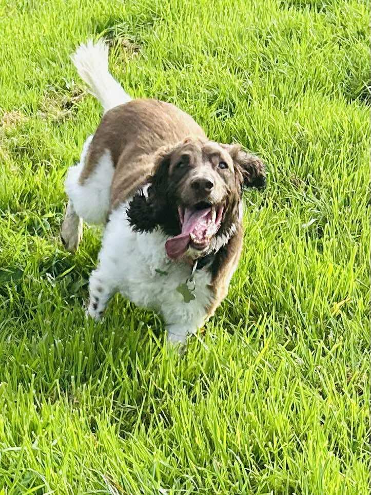 4ea961206d683d97edef6c01e1cdc898