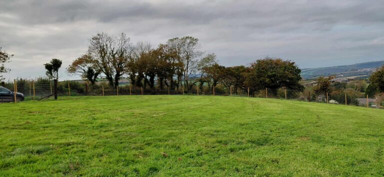 5390b59c5f42fa2b8fd714fa691ad4a9 768x354