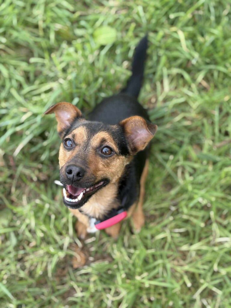 776bb0bd39e5111d7424bac0d4bbae0e 768x1024