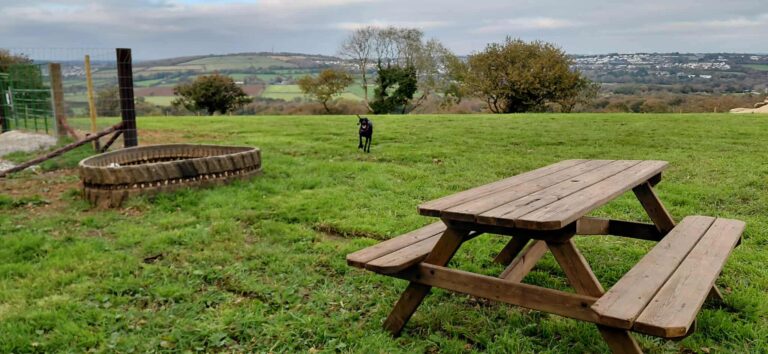 7cf9247cee9ae9b845fbf3c08b8770bd 768x354