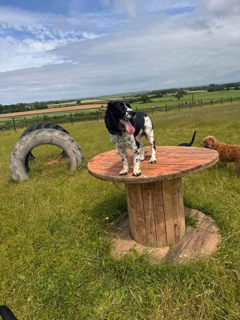 FB IMG 1717584809179 768x1024