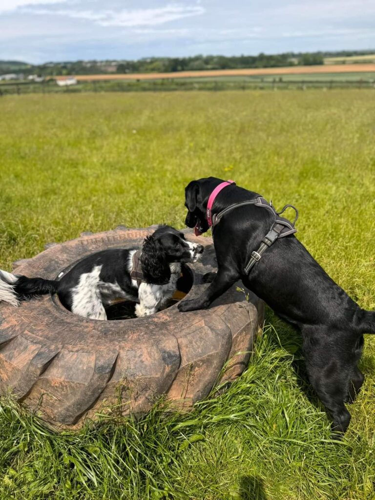 FB IMG 1717584812910 768x1024