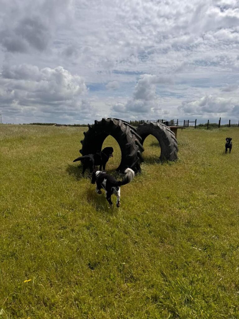 FB IMG 1717584829876 768x1024