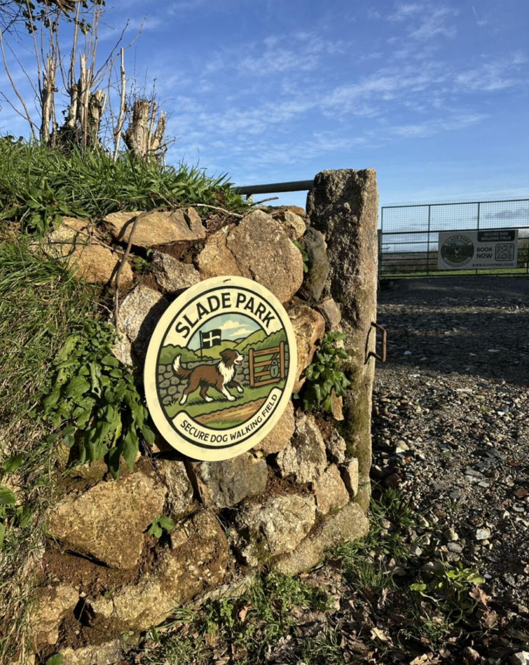 Screenshot 2025 12 17 at 23.23.33 768x965