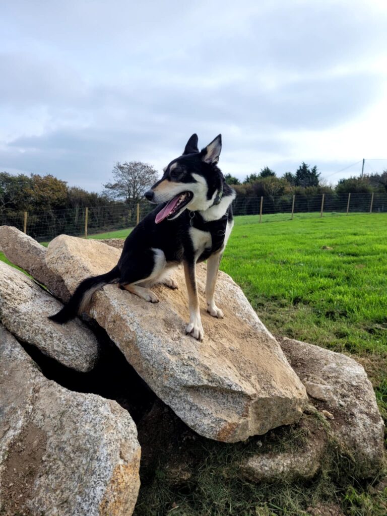 att.2fxqeW Am0868DZXbLWjfItUcPgXRmHzQotnb aPtNA.dat  768x1024