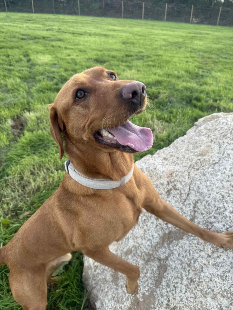 att.o7Xel 2H 7ue52kneg Tox3GtmfE7D7K2tYPfDoykR8 3 768x1024