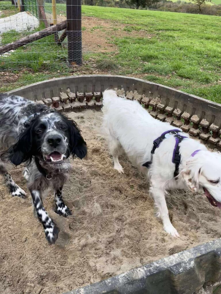 c8b4e5b96c66ee4a64e19424a9b25fb6 768x1024