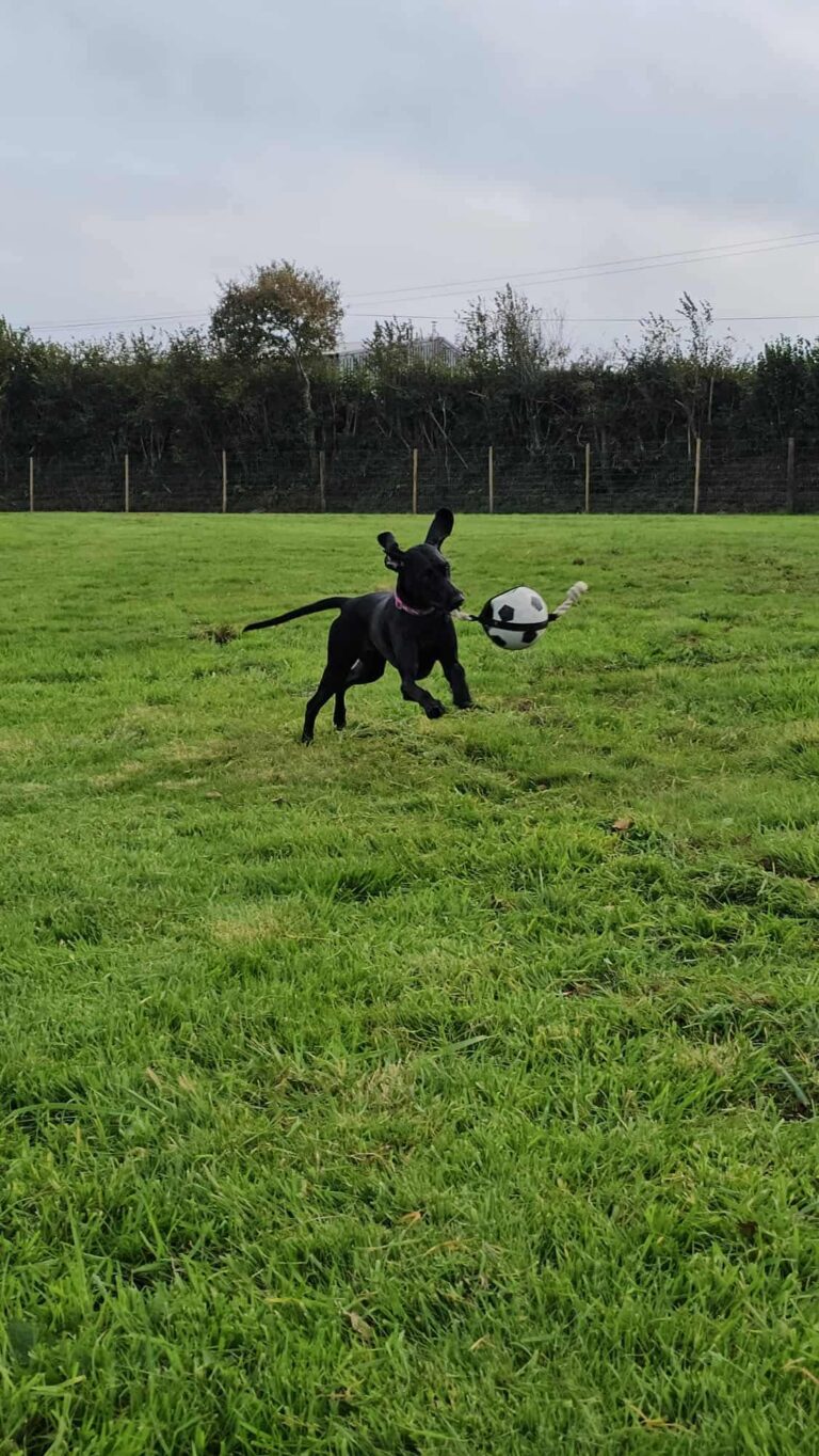 ddd48ef662551ebc989e44d9eef0159b 768x1364