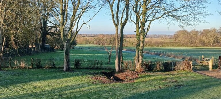 20260110 093120 768x346