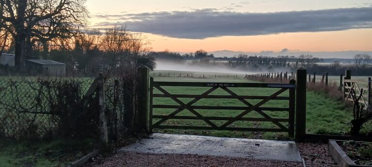 20260117 162518 768x346