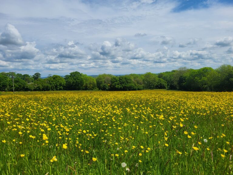 WhatsApp Image 2026 01 05 at 16.04.14 768x576