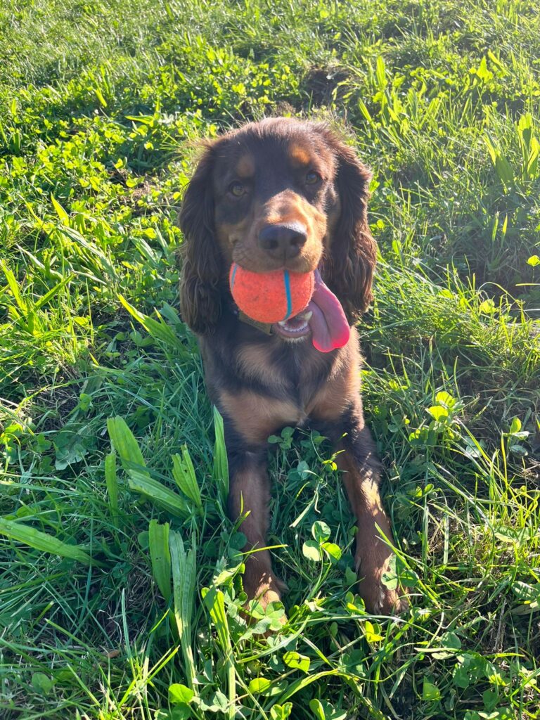 67b61d55 8192 4f43 95ee 17b2f6b93b0f 768x1024