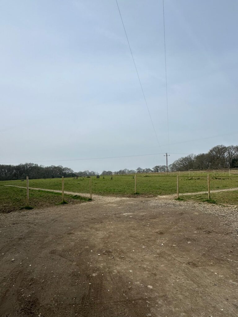 83607499 90f4 4100 a69d 27c3506ee285 768x1024