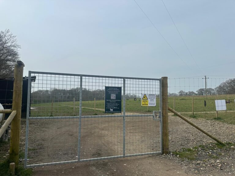 911e7459 6206 4a14 a5c7 02904ef75d65 768x576