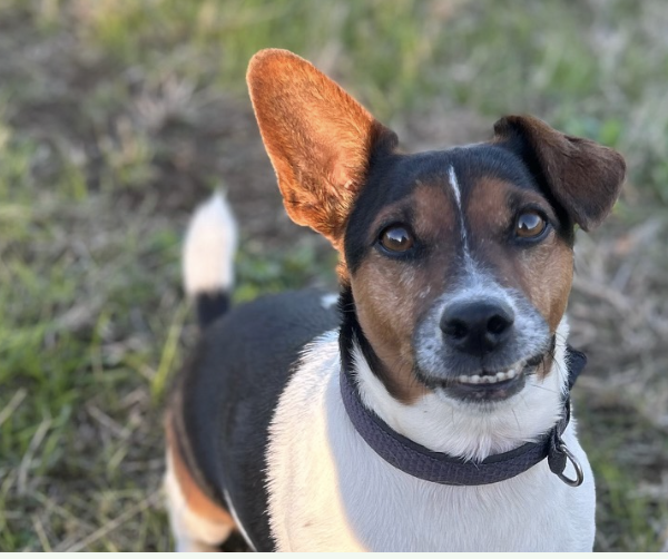 Screenshot 2026 03 16 at 11.03.28 am