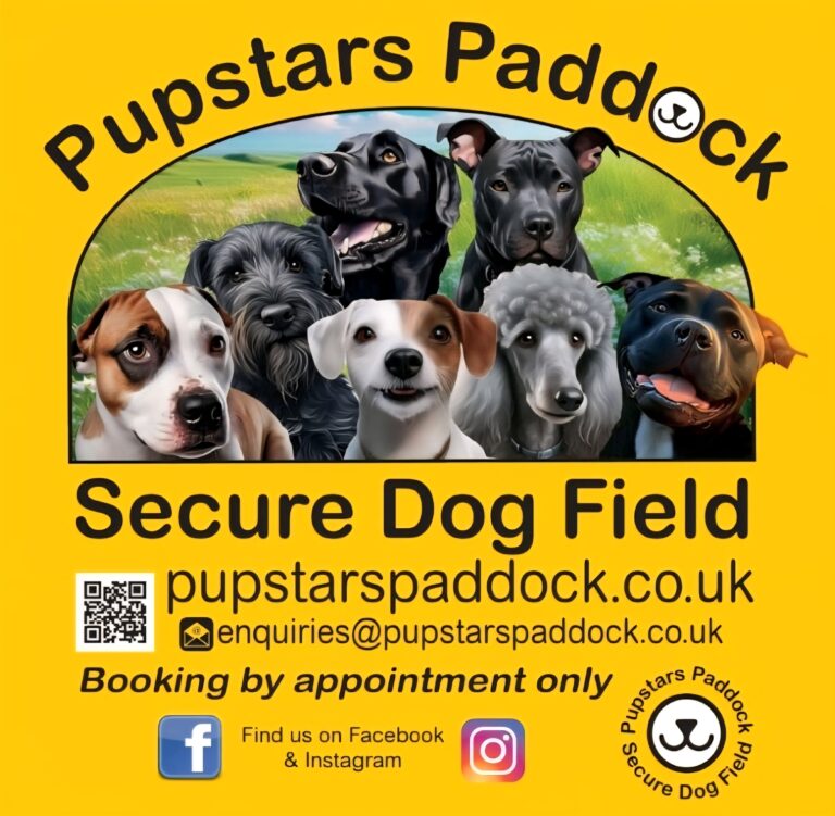 Screenshot 20250803 153155 Outlook 768x751