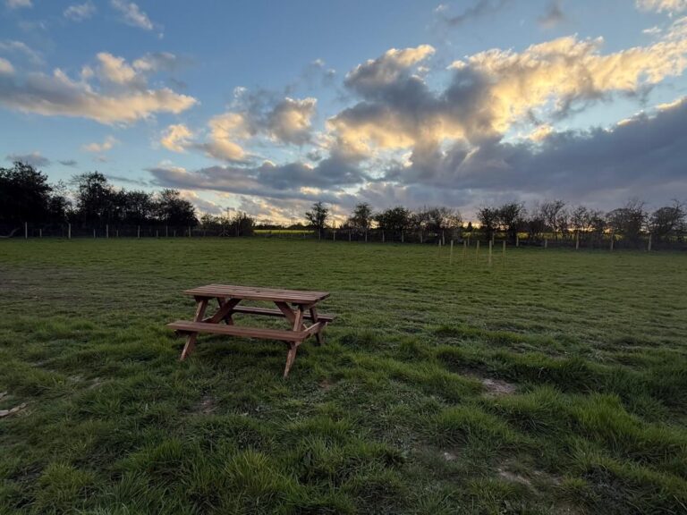 sutton coldfield 768x576