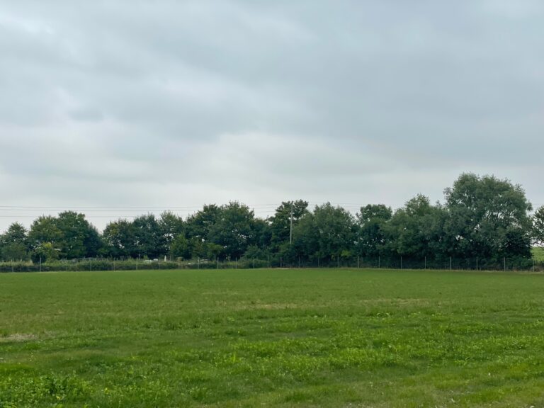 IMG 0053 768x576