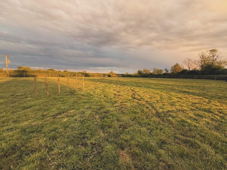 lewes1 768x576