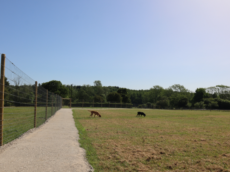 1 768x576